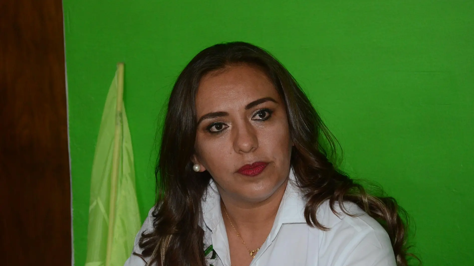 Ana María Rosales Moreno, candidata a la alcaldía de San Juan del Río por el Partido Verde Ecologista de México (PVEM)